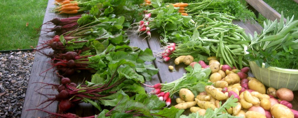 Locally Grown Produce