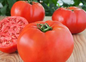 Tomatoes